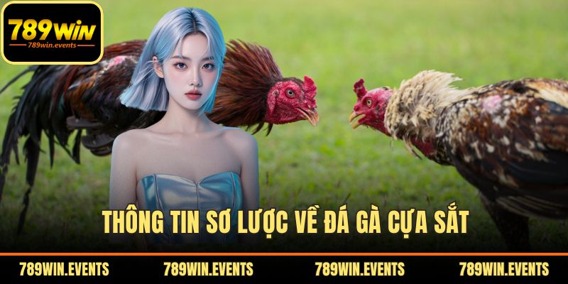 Thông tin sơ lược về đá gà cựa sắt